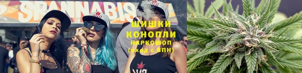 ПСИЛОЦИБИНОВЫЕ ГРИБЫ Абаза