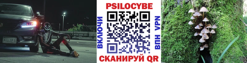 закладка  Кимовск  mega ССЫЛКА  Галлюциногенные грибы Cubensis 