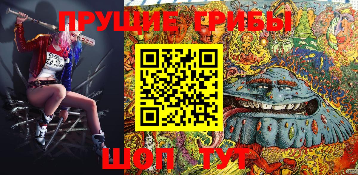 Галлюциногенные грибы Psilocybine cubensis Кимовск