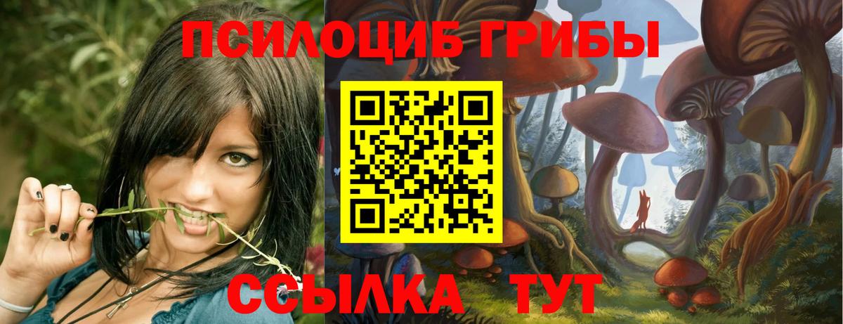 Кимовск  где можно купить   Вход с VPN  Галлюциногенные грибы Psilocybe  Псилоцибиновые грибы прущие грибы 